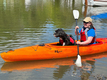 Riot Bayside LV Dog Friendly Kayak