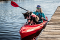 Riot Bayside 10 Perfect Kayak for dogs