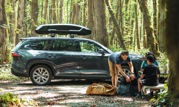 Thule Cargo Box Force 3 Range