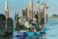 The Vibe Yellowfin 130T kayakers fishing together near the beach